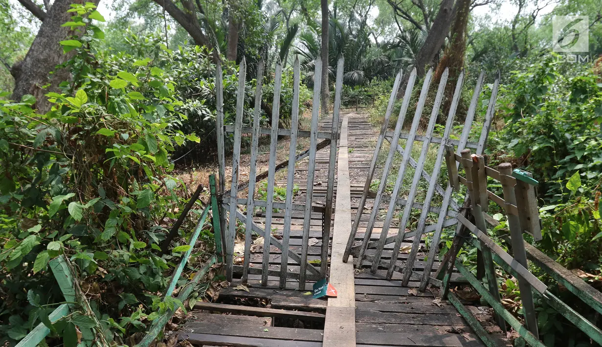 Kondisi Suaka Margasatwa Muara Angke, Jakarta, Selasa (17/9/2019). Suaka Margasatwa Muara Angke akan dikembangkan sebagai pusat edukasi mangrove. (Liputan6.com/Herman Zakharia)