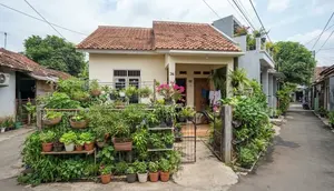 6 Ide Kebun Sayur untuk Rumah Type 36 dengan Lahan Terbatas, Praktis dan Hemat Tempat