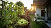 Cara Membuat Kebun Gambas dari Ember Bekas dan Tali Rambat agar Cepat Panen