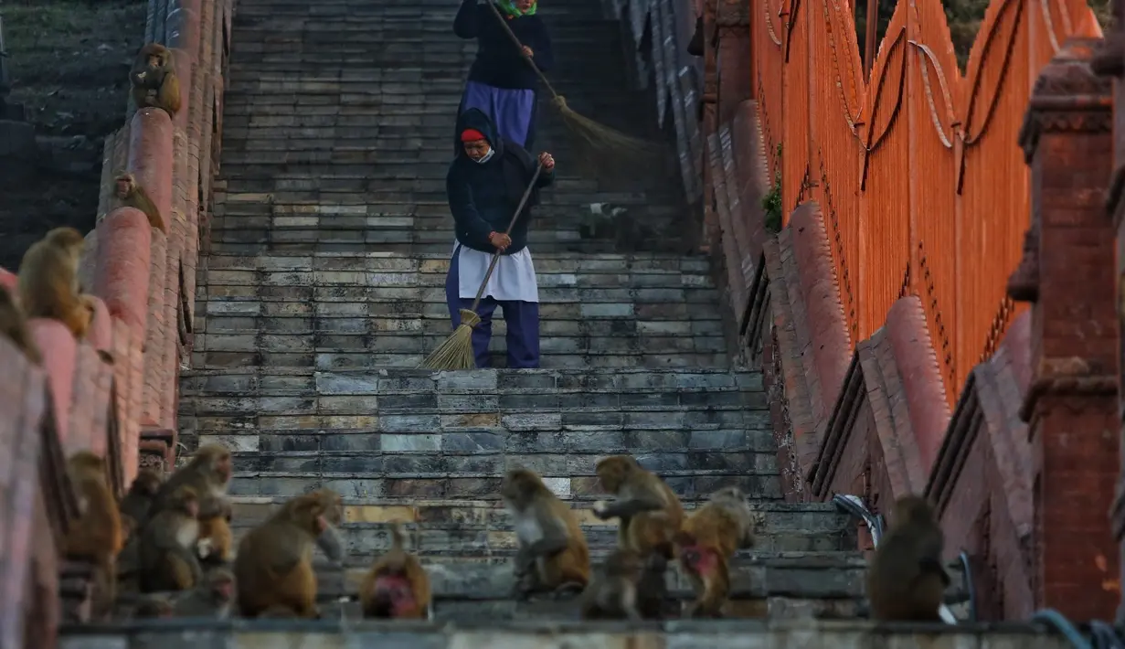 Para pekerja membersihkan lingkungan Kuil Pashupatinath di Kathmandu, Nepal (16/12/2020). Total kasus COVID-19 di Nepal mencapai 250 ribu, sembuh 239 ribu dan meninggal 1.730 orang. (Xinhua/Sulav Shrestha)