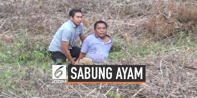 VIDEO: Seru, Polisi Kejar Pejudi Sabung Ayam Sampai ke Bukit
