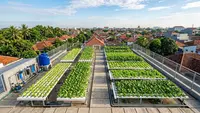 Pertanian Hidroganik, Jurus Jitu Ketahanan Pangan dan Urban Farming di Palu