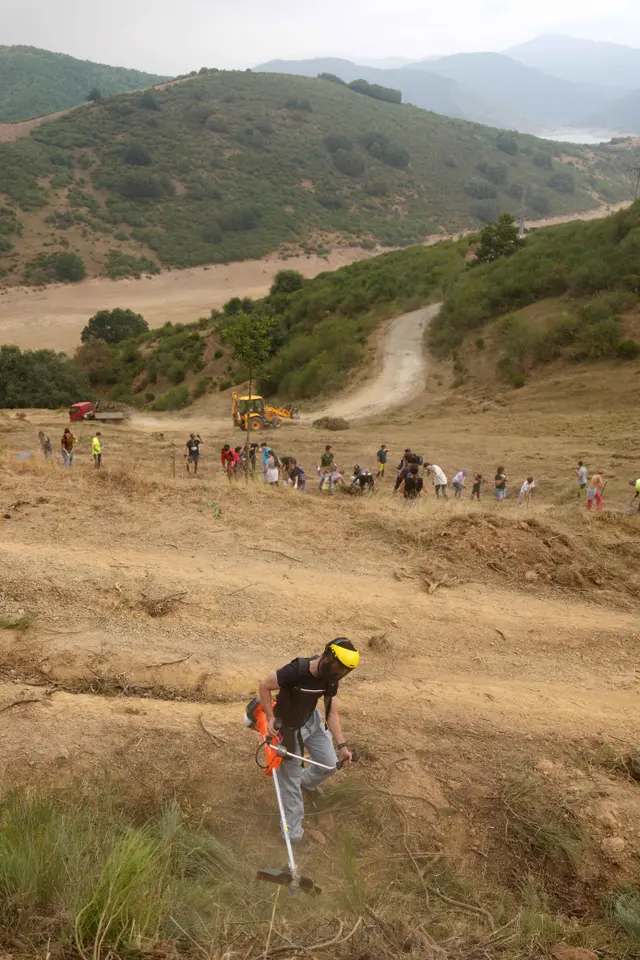 Area Hutan Pegunungan di Spanyol Dibersihkan