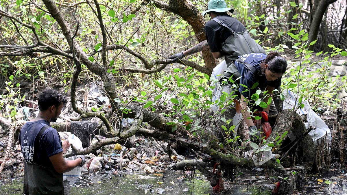 Menjaga Hutan Mangrove dari Ancaman Sampah Plastik