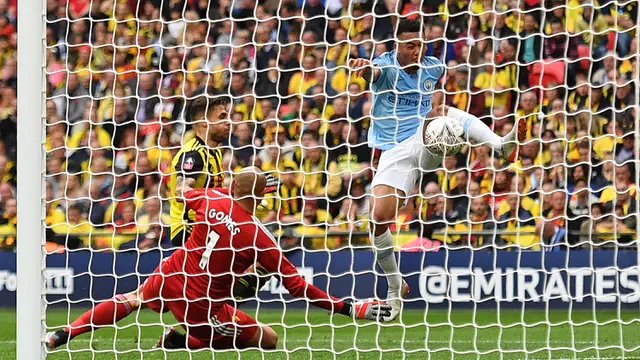 Manchester City Vs Watford