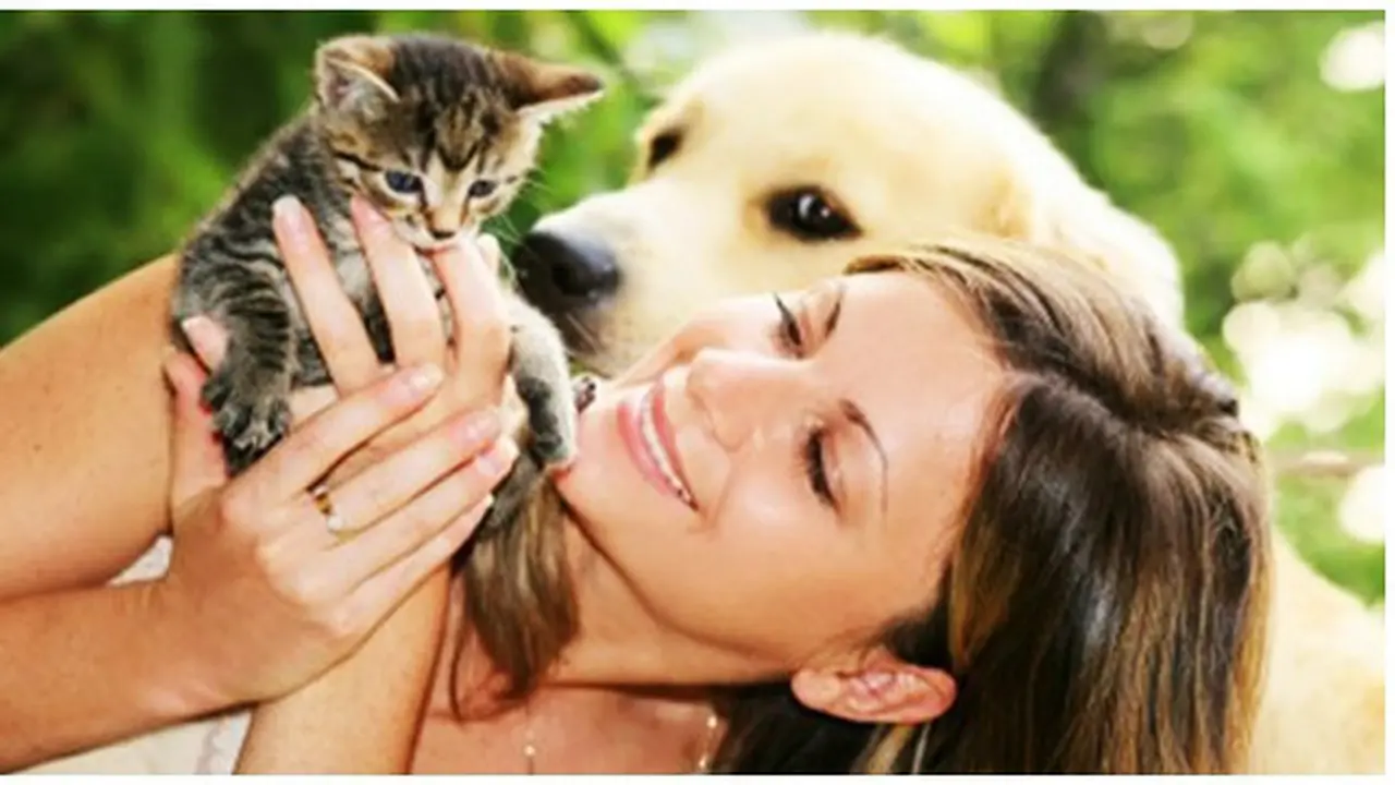 Foto: copyright shutterstock.com