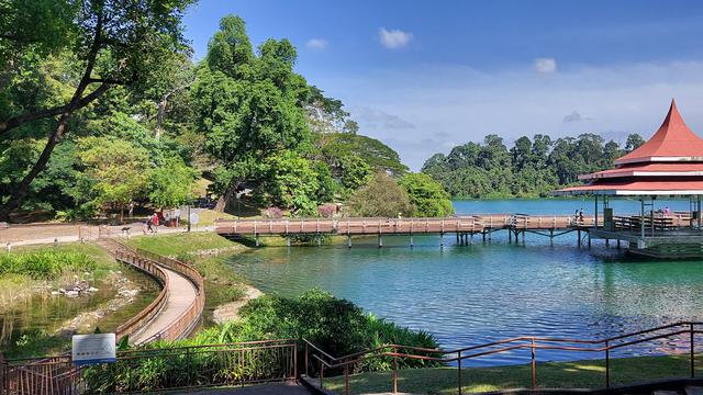 MacRitchie Reservoir