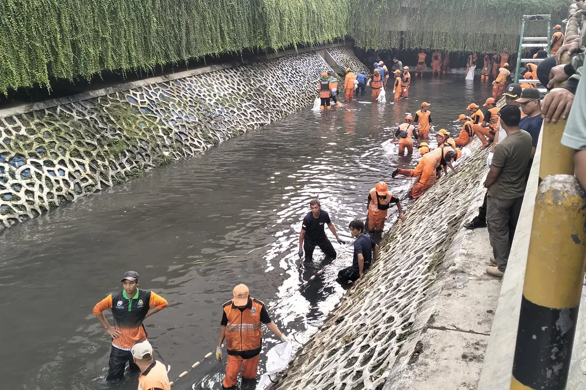 Penangkapan ikan sapu-sapu di Kali Cideng, Jakarta.