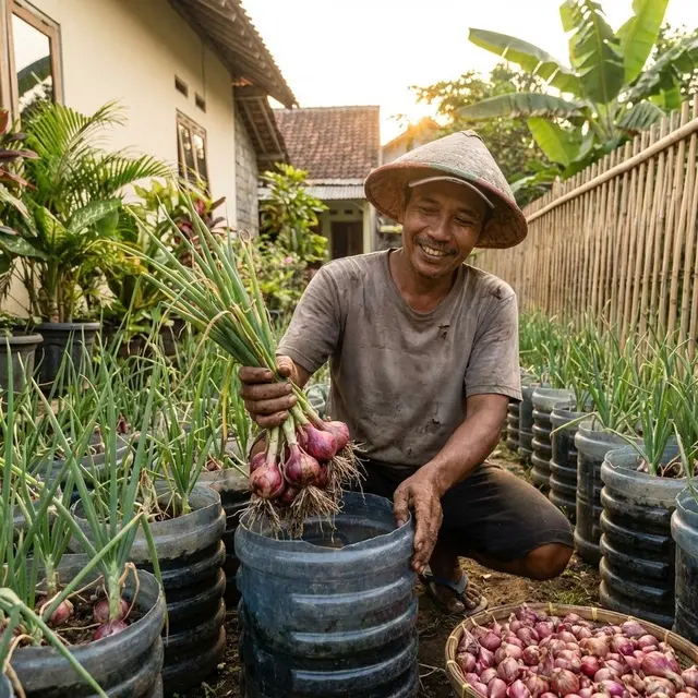Cara Menanam Bawang Merah di Galon Bekas
