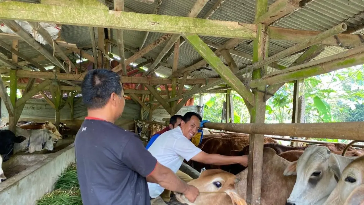 Pemda Kabupaten Sukabumimulai intensif melakukan langkah preventif guna menjamin kesehatan hewan ternak jelang Iduladha.
