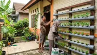 Cara Membuat Kebun Sayur dari Pipa PVC di Rumah, Panduan Lengkap