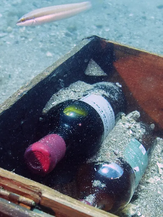 Peti berisi botol anggur Bandol yang disimpan di dasar Laut Mediterania di Saint-Mandrier, Prancis selatan, 15 Mei 2017. Sejumlah penyelam Prancis melakukan percobaan proses fragmentasi atau pematangan anggur di dalam air selama setahun (Boris HORVAT/AFP)