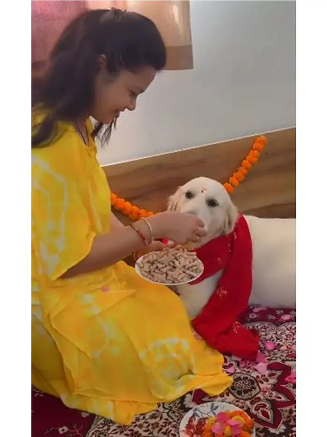 Wanita Beri Kejutan Baby Shower untuk Anjing Peliharaan, Ini 6 Potret Uniknya