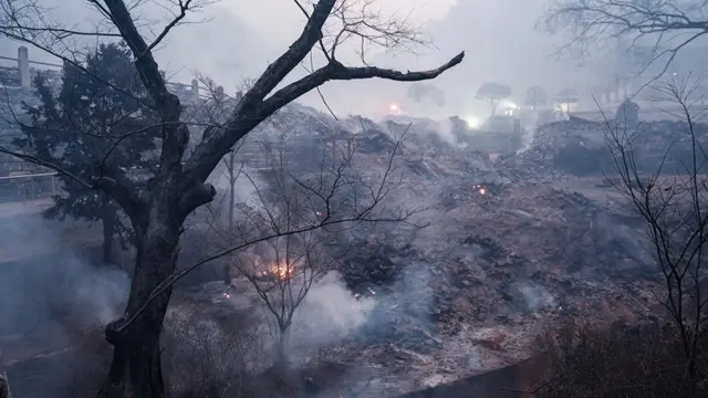 Kebakaran Hutan Korea Selatan, Sebuah Kuil Kuno Nyaris Rata dengan Tanah