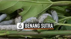 THUMBNAIL SUTRA