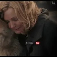 Inilah informasi menarik tentang anjing setia, mitos Pantai Selatan, dan kecelakaan kapal pesiar mewah yang paling memilukan. (Bintang.com)