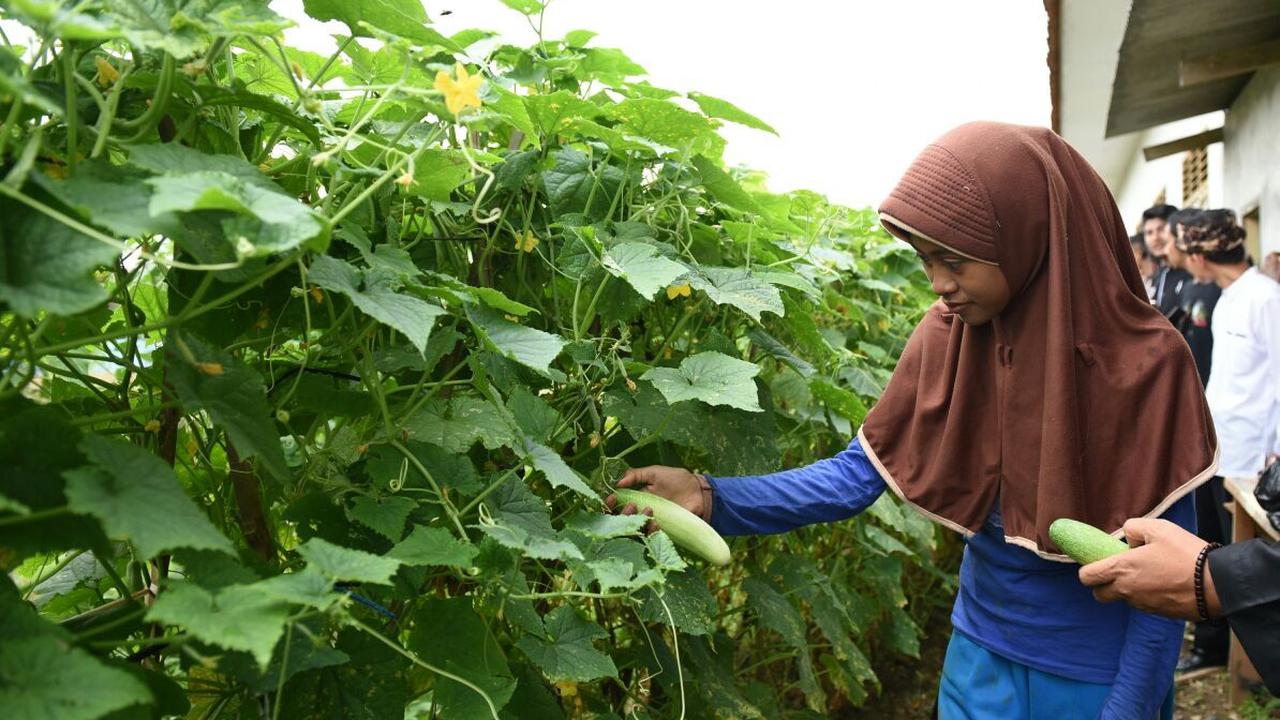 Panen Raya, Pelajar Purwakarta Hasilkan 4 Kuintal Gabah dan Timun