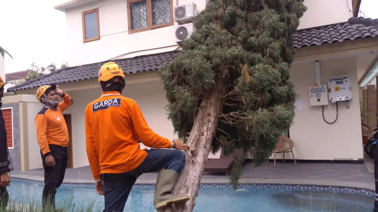 Warga Kota Batu Diimbau Tak Dekat Pohon Saat Hujan Lebat