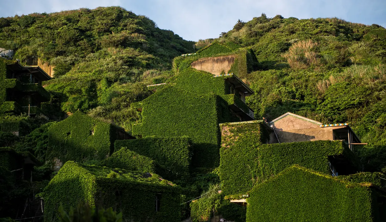 Sejumlah rumah ditutupi tumbuhan di Houtouwan di pulau Shengshan, provinsi Zhejiang, China (1/6). Karena ditinggalkan penghuninya, rumah-rumah di Houtouwan dikelilingi tumbuhan yang lebat. (AFP/Johannes Eisele)