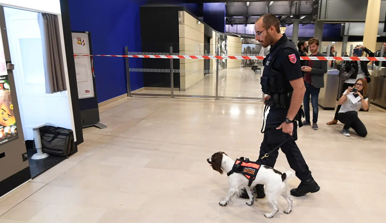 Anggota polisi kereta wilayah Ile de France bersama Lina seekor anjing jenis Spaniel yang terlatih untuk mendeteksi bahan peledak berpatroli di sebuah stasiun kereta bawah tanah di Paris (4/9). (AFP Photo/Alain Jocard)