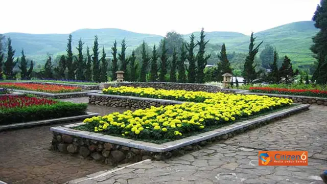 25 Wisata di Puncak yang Hits, Jadi Referensi untuk Liburan Bersama Keluarga