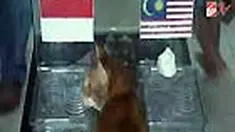 liputan6
