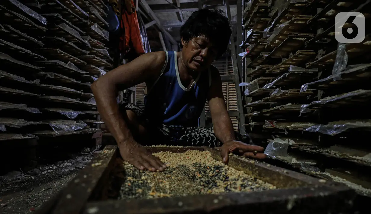 Tahun ini, pemerintah mengalokasikan anggaran subsidi bunga KUR Rp 46 triliun. (Liputan6/Angga Yuniar)