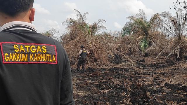 Satgas Gakkum Karhutla Riau di lokasi perusahaan pembakar lahan penyebab kabut asap di Riau.