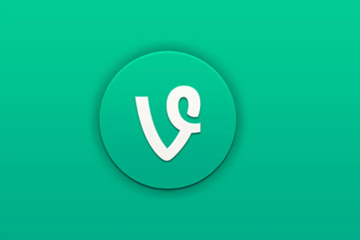 Vine
