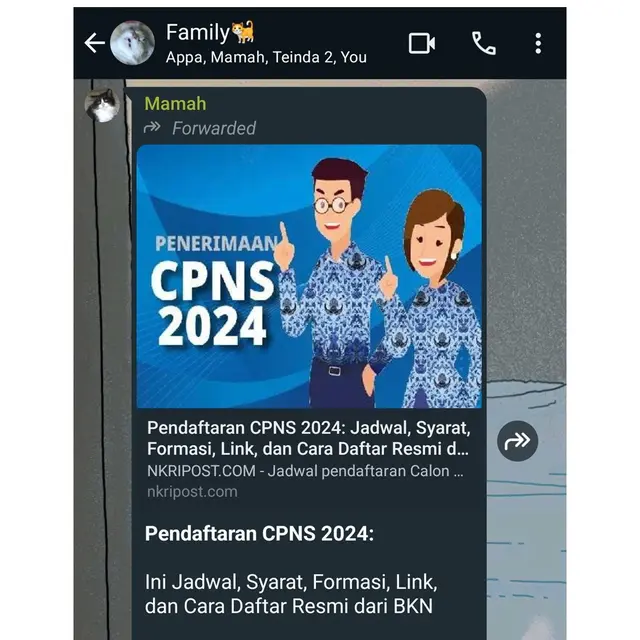 6 Chat Ibu Kirim Pengumuman CPNS ke Anak Ini Bikin Senyum Tipis