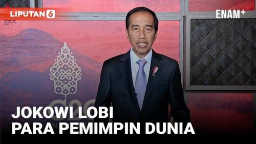 VIDEO: Jokowi Ungkap Pembicaraan dengan Sejumlah Pemimpin Dunia