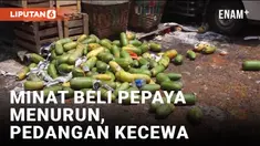 MENURUNNYA MINAT PEMBELI SERTA HARGA JUAL ANJLOK, PEDAGANG PEPAYA KECEWA BUANG KE JALAN