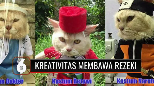 Sadar harus memiliki sumber penghasilan lain, seorang guru honorer di Bogor asah keahliannya dalam menjahit. Hasilnya, koleksi baju kucing yang gemas ini tak hanya datangkan rezeki untuknya tetapi juga untuk para tetangganya lho.