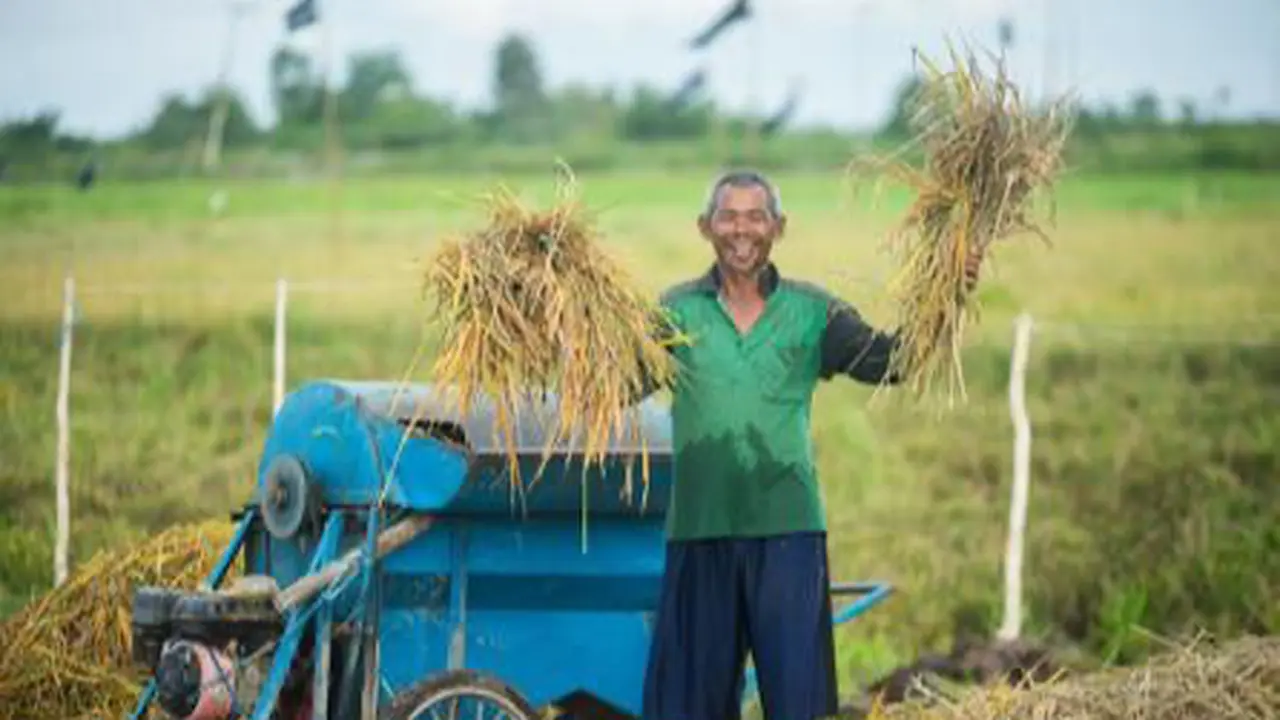 Cara Kementan Perkuat Hilirisasi Pertanian di Kawasan Food Estate Kalteng 