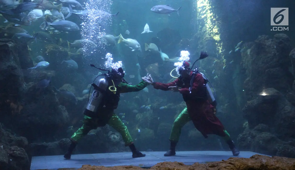 Pertarungan dalam air bertajuk The Battle of Yin Yang di Aquarium Utama Seaworld Ancol, Jakarta, Senin (12/2). Pertunjukan ini menceritakan kisah pertarungan antara dua perguruan kungfu yaitu Yin dan Yang. (Liputan6.com/Arya Manggala)