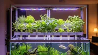 10 Ide Kebun Hidroponik Indoor Pakai Lampu LED Buat Rumah Minim Sinar Matahari