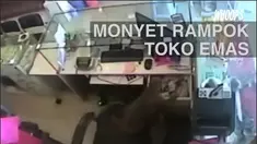 Penjaga toko yang menghalangi kejadian itu kalah cepat oleh sang monyet yang langsung kabur.