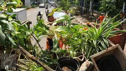 Petugas PPSU mengangkut tanaman hias yang diperdagangkan di sepanjang trotoar Jalan Asia Afrika, Jakarta, Selasa (18/5/2016). Penertiban ini terkait revitalisasi trotoar dan persiapan menyambut Asian Games 2018 mendatang. (Liputan6.com/Helmi Fithriansyah)