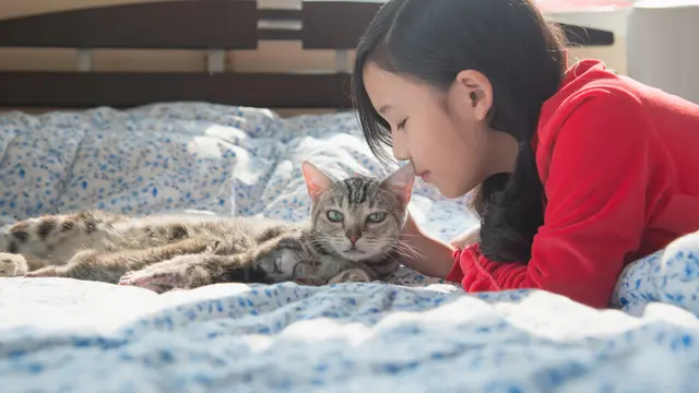 5 Zodiak yang Dikenal sebagai Cat Lover Sejati, Sampai Dianggap Keluarga Sendiri