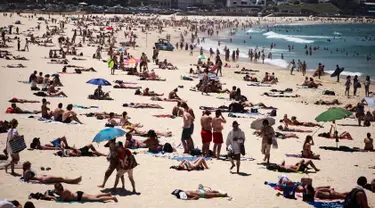 Warga Australia menghabiskan waktunya di pantai Bondi Sydney selama gelombang panas yang melanda wilayah Australia, (20/11/2015). Badan Meteorologi Australia mencatat suhu mencapai lebih dari 40 derajat celsius dan akan meningkat. (REUTERS/Jason Reed)