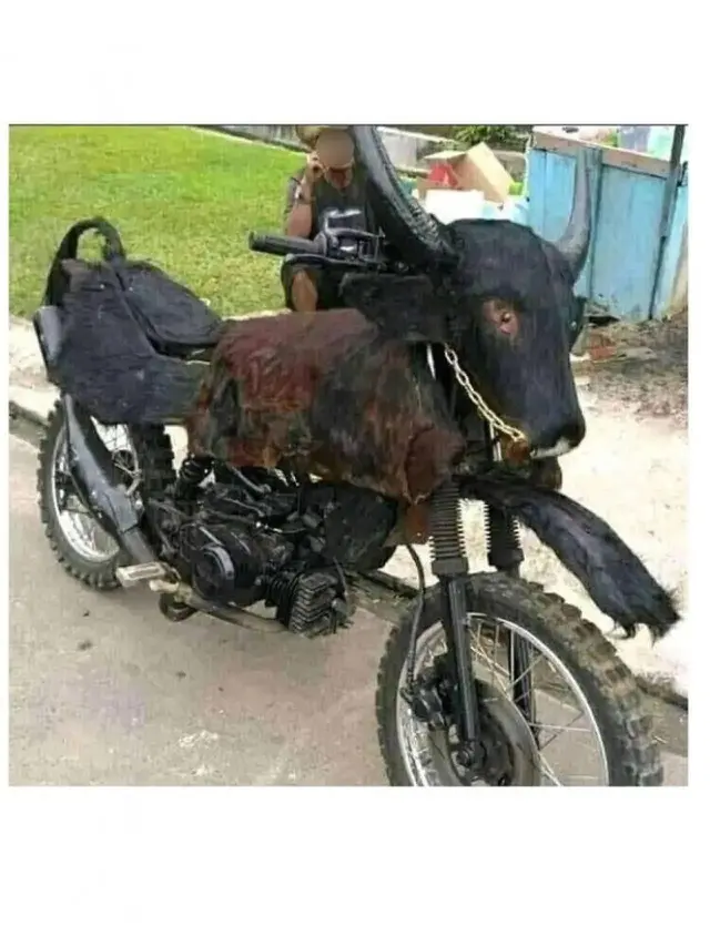 Kumpulan Potret Modifikasi Sepeda Motor yang Terinspirasi dari Hewan (ist)