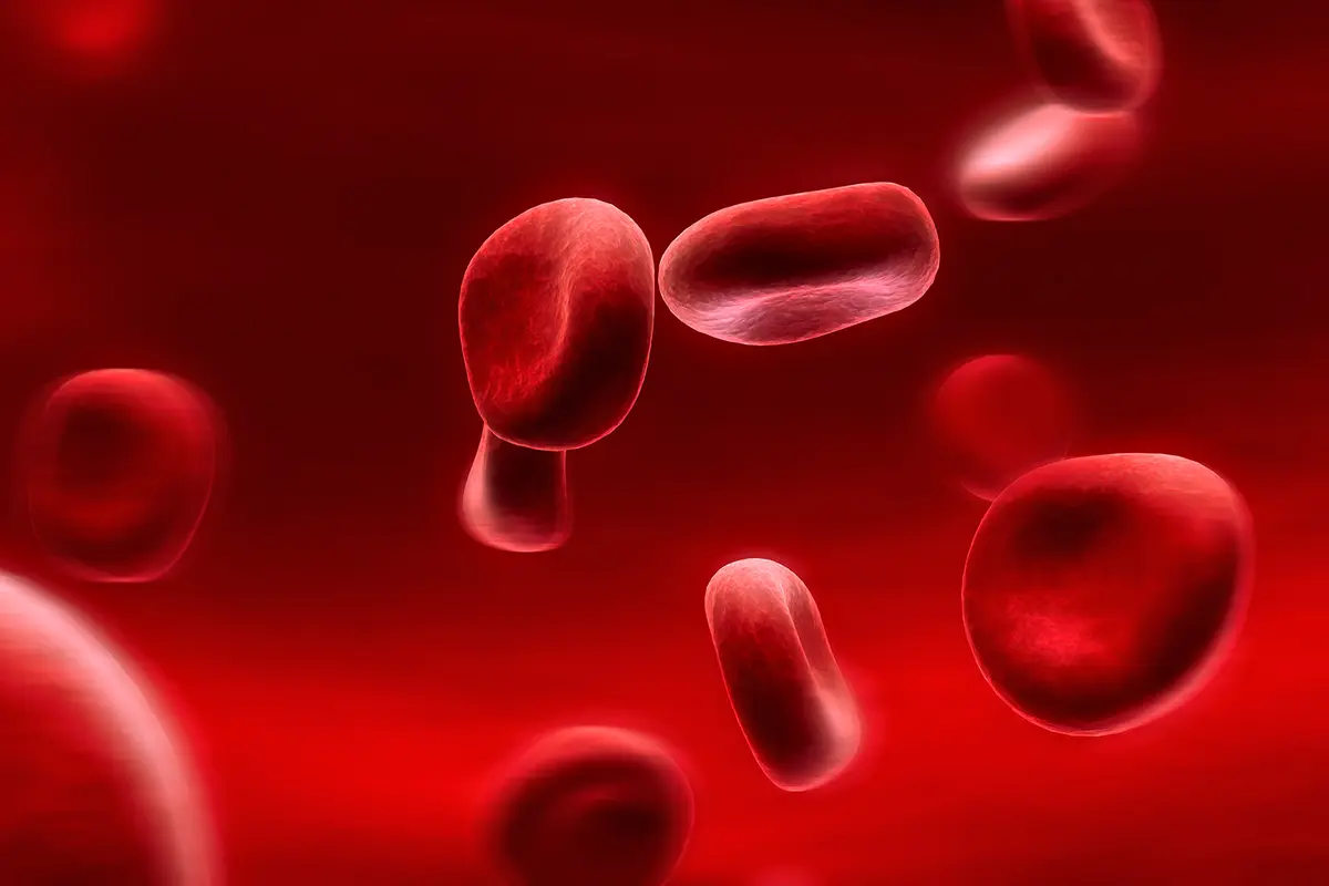 Kesadaran Hemofilia di Indonesia Masih Minim