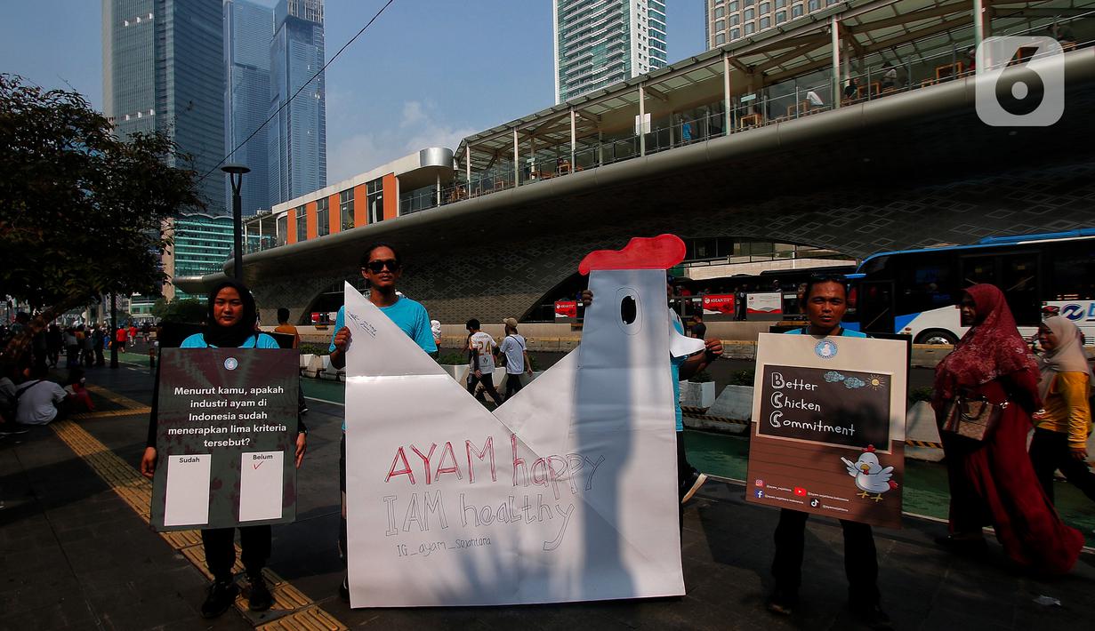 Namun sayangnya, diperkirakan kesejahteraan ayam ternak masih dibawah standar dan membahayakan masyarakat. (Liputan6.com/Angga Yuniar)
