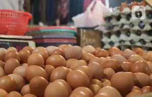 Harga Pangan 14 Agustus 2026: Telur Merangkak Naik Hampir Rp 30 Ribu per Kg
