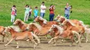 Penonton mengambil gambar saat iring-iringan kuda melintas untuk menuju peternakan pejantan Haflinger di Meura, Jerman (29/4). (AP Photo / Jens Meyer)