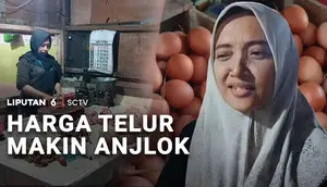 Harga Telur Makin Anjlok