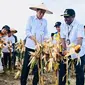 Presiden Joko Widodo (Jokowi) meninjau lokasi pengembangan Food Estate di Kampung Wambes, Kabupaten Keerom, Papua. (dok: PUPR)