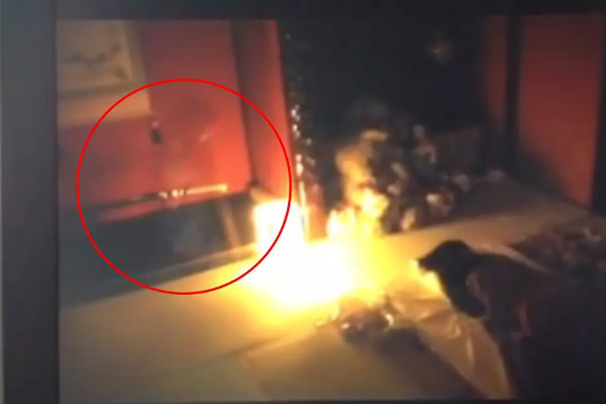 Sosok hantu anak kecil, Zashikiwarashi, terlihat sebagai pertanda keberuntungan.