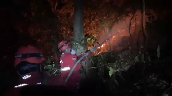 Titik Api di Taman Nasional Babul Bermunculan
