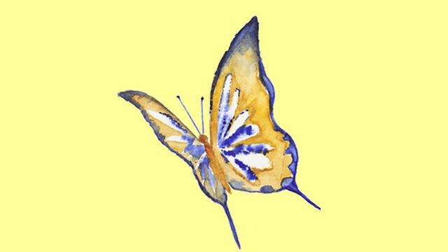 Pilih Satu Kupu-Kupu Favorit, Pilihanmu Ungkap Sisi Tersembunyi Dirimu